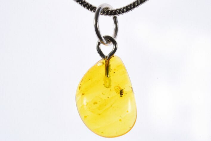 Polished Baltic Amber Pendant (Necklace) - Contains Fly! #339621